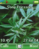 trawka maryśka zioło roślina trawa palenie skręt marihuana rośliny gandzia marycha joint gandzie