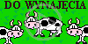zwierzęta krowa humor teksty krowy krówka napis tekst śmieszny zwierzak krówki napisy zwierzaki zwierzę do wynajęcia tekstowy zabawny