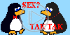 sex pingwin humor teksty tak tak napis tekst napisy tekstowy