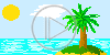 krajobraz palma wakacje morze plenery turystyka widok widoczek palmy krajobrazy widoczki widoki