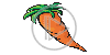 marchewka warzywo warzywa marchew marchewki