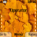 liść liście żółte listki jesienne