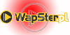 logo znak firma wapster loga nazwa