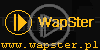 logo znak firma wapster loga nazwa