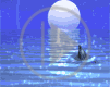 morze ocean delfin ssak noc księżyc delfinek