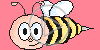 osa pszczoła owady pszczółka owad pszczoły pszczółki