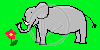 słoń trąba słonie słonik słoniki