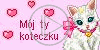 miłość kocham love kochać kocham cię i love you mój ty koteczku