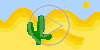 plenery kaktus pustynia sahara kaktusy plener