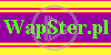 logo firma wapster loga serwis nazwa