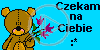 miś misiek misie misio misiaczek czekam na ciebie miśki misiaczki