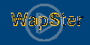 logo znak wapster loga nazwa