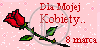 kwiat kwiaty kwiatek róża 8 marca kobiety kwiatki dla mojej kobiety dla mojej