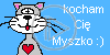 miłość kot kotek kiciuś kocham cię myszko