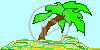 krajobraz palma wyspa widok palmy widoki