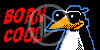 ptaki ptak pingwin teksty cool ptaszek napis zimno pingwiny ptaszki tekst born cool napisy tekstowy