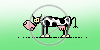 zwierzęta krowa bajka humor krowy krówka bajki śmieszne śmieszny zwierzak zabawne wesołe krówki zwierzaki zwierzę z humorem bajkowe zabawny zwierze