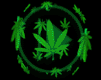 trawka maryśka zioło zieleń trawa liść palenie skręt marihuana ganja Gania gandzia ziele joint pal zioło zapalmy canabis