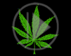 trawka maryśka zioło zieleń teksty trawa liść palenie napis skręt marihuana ganja Gania tekst szanuj zieleń gandzia ziele napisy tekstowy joint pal zioło canabis