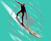 sport deska surfing windsurfing sportowe