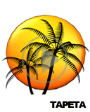 słońce palma wyspa plenery palmy plener