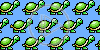 zwierzęta żółw żółwie żółwik zwierze żółwiki