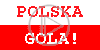 mecz sport mistrzostwa piłka nożna polska gola