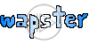 logo znak wapster nazwa tekst znaki
