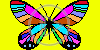 motyl owady motylek motyle owad motylki