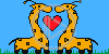 zwierzęta serce miłość serduszka żyrafa żyrafy serduszko serca