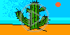 roślina kaktus pustynia rośliny kaktusy
