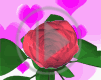 serce kwiat miłość kwiaty kocham róża serduszka kochać serduszko serca