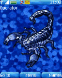 zwierzęta skorpion zwierze skorpiony pajęczaki stawonogi