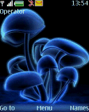 roślina grzyby grzyb grzybki rośliny halucynogenne grzybek