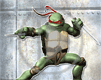 zwierzęta żółw ninja bohater żółwie zwierze wojownik wojownicy bohaterowie wojownicze żółwie wojowniczy żółw